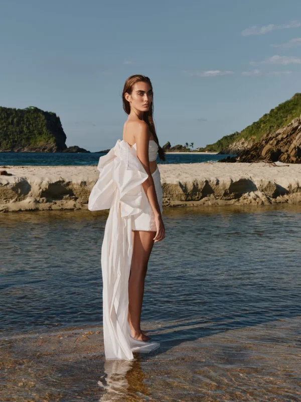 Catica Mini Dress