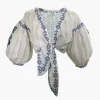 Chicory Top
