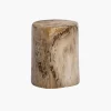 50cm Fossilized Wood Log