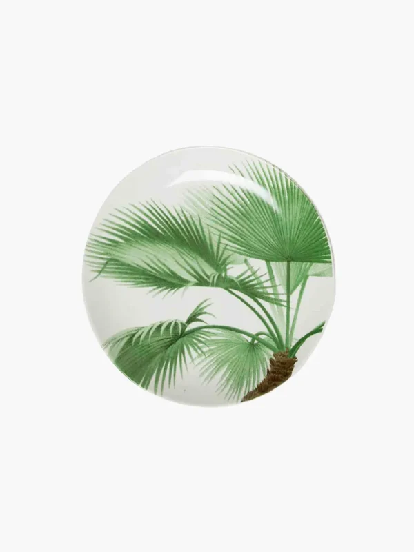 Dinner Plate Set