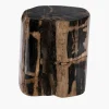 Fossilized Wood Log