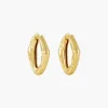 The Hoop Earrings